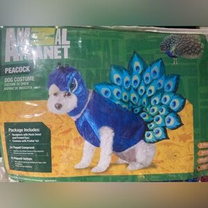 Peacock dog costume